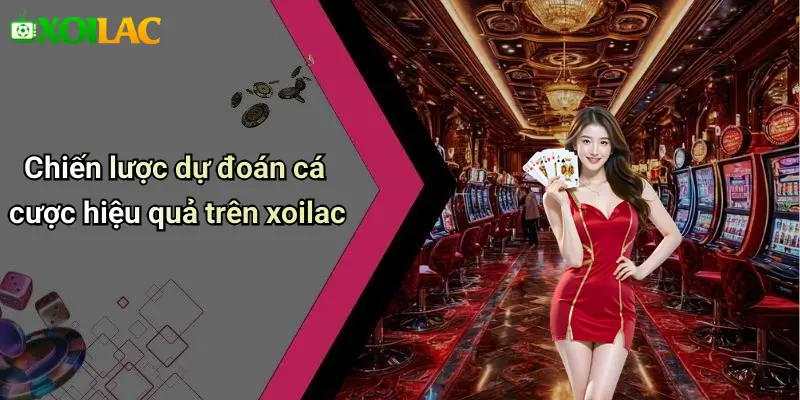 Chiến lược dự đoán cá cược hiệu quả trên xoilac