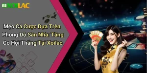 Mẹo Cá Cược Dựa Trên Phong Độ Sân Nhà: Tăng Cơ Hội Thắng Tại Xoilac