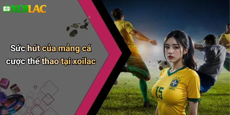 Sức hút của mảng cá cược thể thao tại xoilac