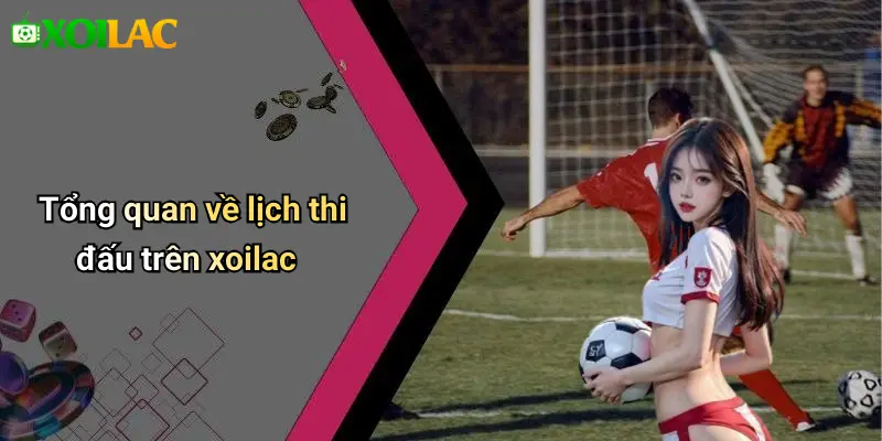 LỊCH THI ĐẤU 23 Tổng quan về lịch thi đấu trên xoilac