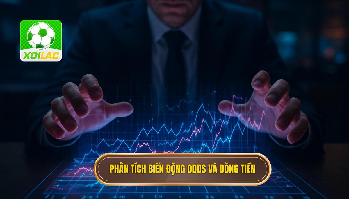 Phân tích biến động Odds và dòng tiền trong kèo thắng hòa thua