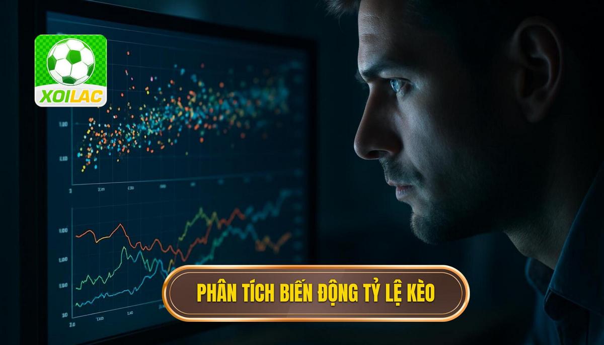 Phân tích biến động tỷ lệ kèo từ nhà cái