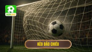 Các dấu hiệu nhận diện kèo đảo chiều hiệu quả