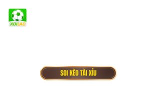 thumb - soi kèo tài xỉu