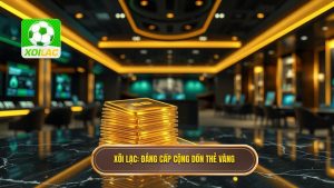 Xôi Lạc_ Đẳng cấp cộng dồn thẻ vàng