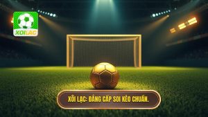 Xôi Lạc_ Đẳng cấp soi kèo chuẩn.