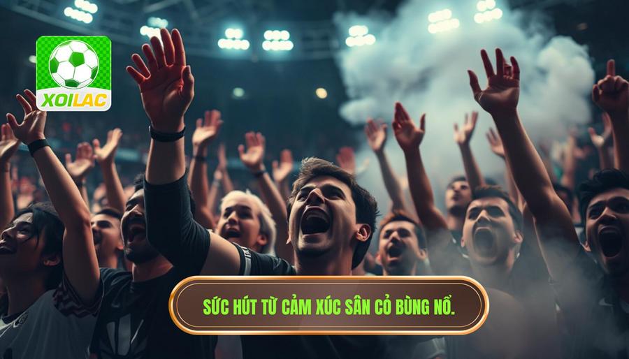 Giải mã sức hút: Tại sao cảm xúc sân cỏ bùng nổ lại có sức lan tỏa mạnh mẽ?