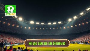 Cảm xúc sân cỏ bùng nổ: Khi trái bóng tròn viết nên những bản anh hùng ca