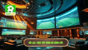 Theo dõi bóng đá realtime: Kỷ nguyên mới của trải nghiệm túc cầu số