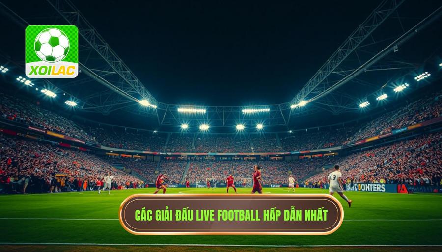 Live Football: Trải Nghiệm Đỉnh Cao Cùng Niềm Đam Mê Trái Bóng Tròn 3 Những Giải Đấu Không Thể Bỏ Lỡ Khi Theo Dõi Live Football