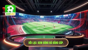 xem bóng đá tốc độ cao